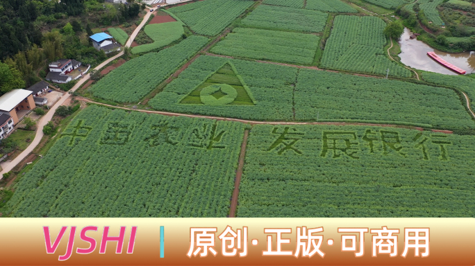 4K中国农业发展银行乡村振兴图案绿色金融