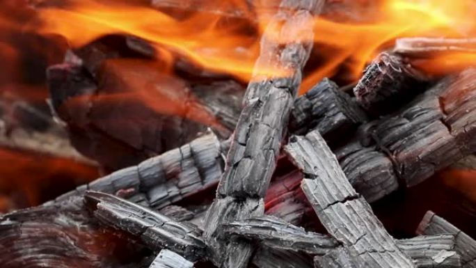 燃烧形成煤的木屑。烧烤准备，烹饪前烧火。由加热很大的木材制成的热煤。