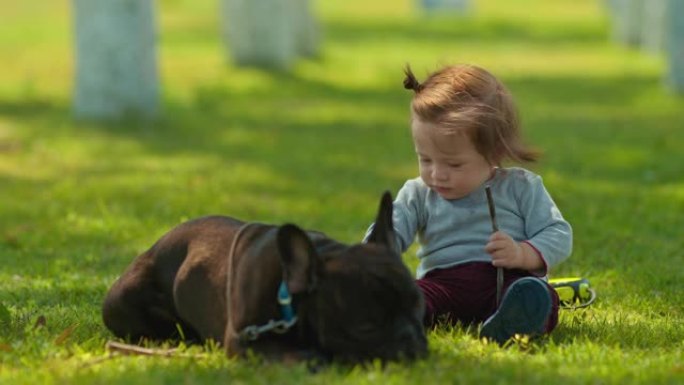 可爱的孩子和狗坐在绿色的草坪上，与动物友好。狗躺在婴儿附近并保护他。4k，10位，ProRes