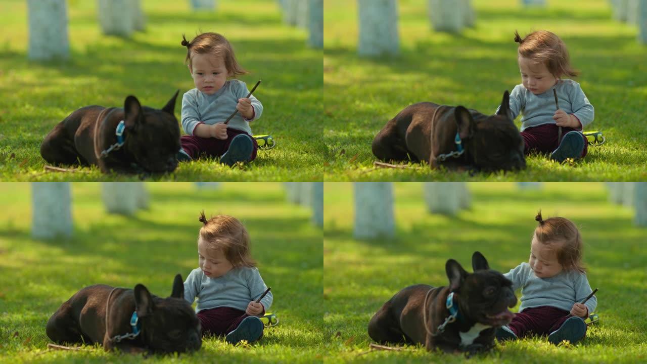 可爱的孩子和狗坐在绿色的草坪上，与动物友好。狗躺在婴儿附近并保护他。4k，10位，ProRes