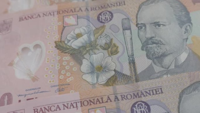 罗马尼亚的lei纸币上的缓慢倾斜特写