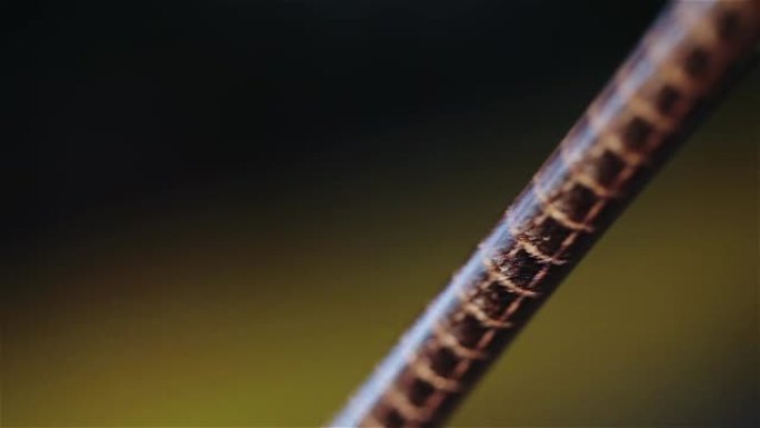 铜线。现代工厂铜缆。铜缆的生产