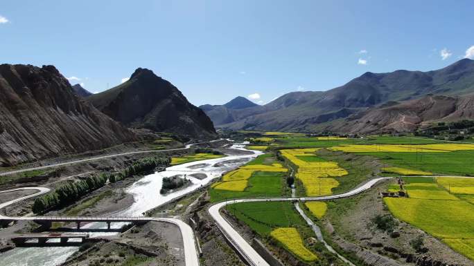 最美油菜花公路河流3