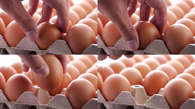 手动选择并从纸箱包装的鸡蛋中取一个