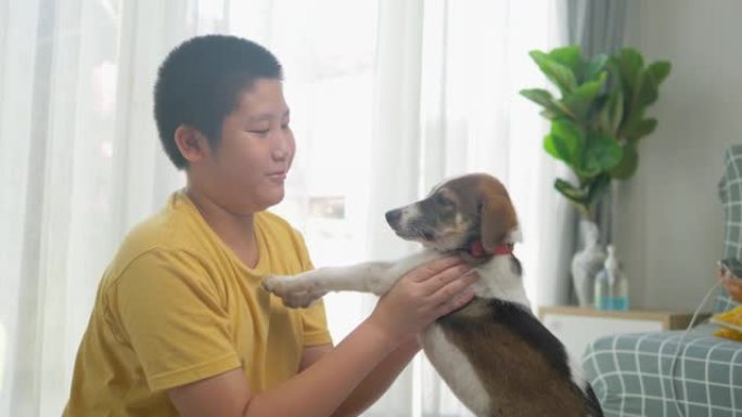 快乐的亚洲男孩在家和他的狗玩耍，生活方式理念。