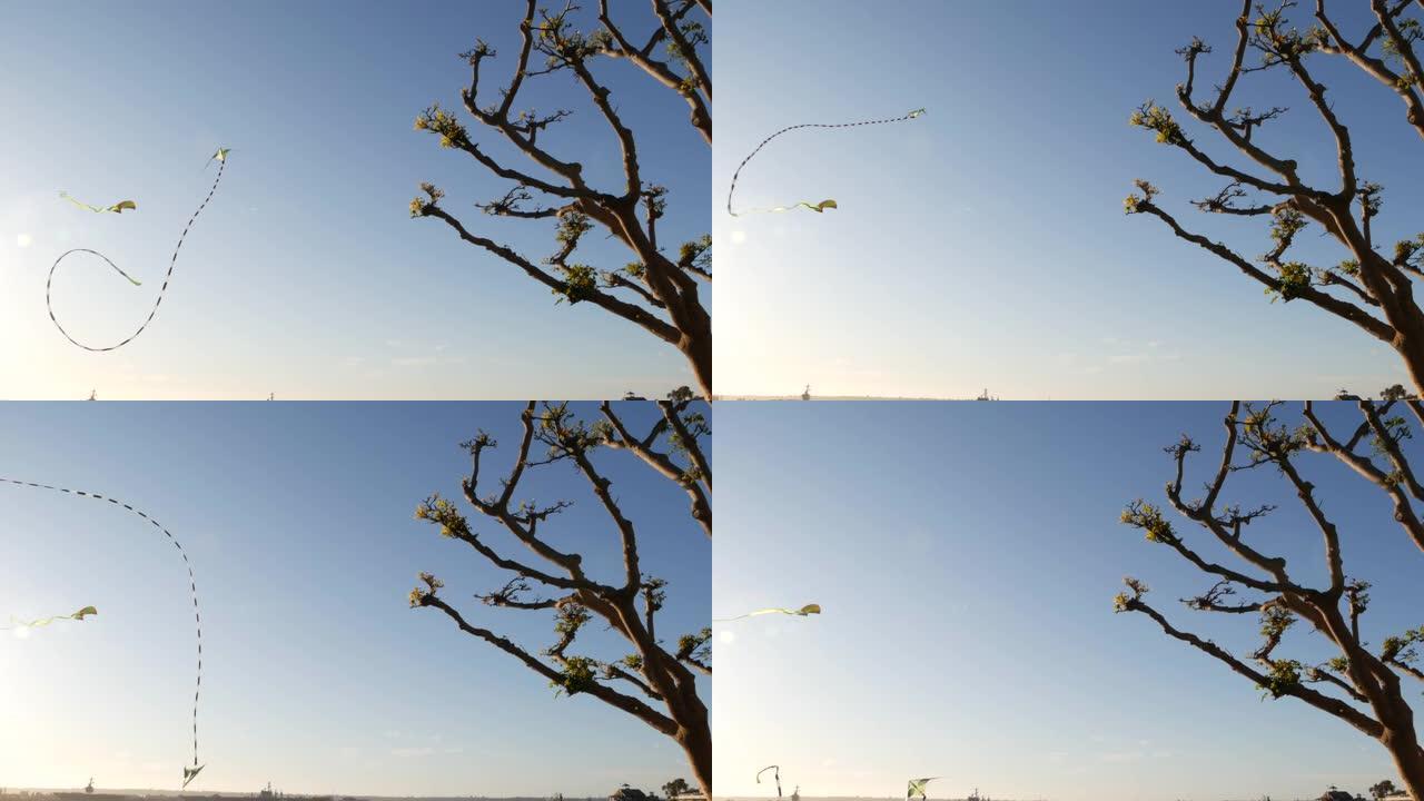 彩色风筝在蓝天上飞过树木在Embarcadero码头公园，圣地亚哥，美国加利福尼亚州。儿童多色玩具在