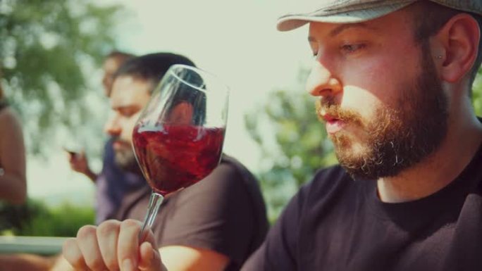 一群朋友在葡萄园里用红酒敬酒。慢动作拍摄