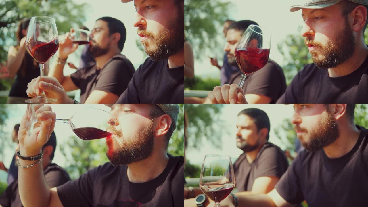 一群朋友在葡萄园里用红酒敬酒。慢动作拍摄