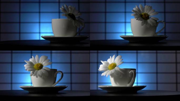 茶杯中有水滴的甘菊花在蓝色背景上旋转。尖锐的狭窄区域。全景