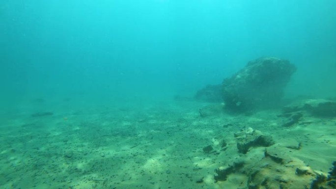 菲律宾巴拉望科伦的水下录像