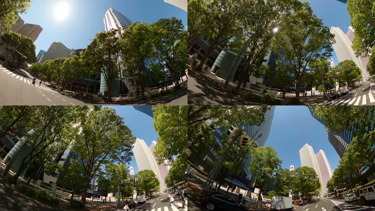 商业区摩天大楼/绿树-仰望天空