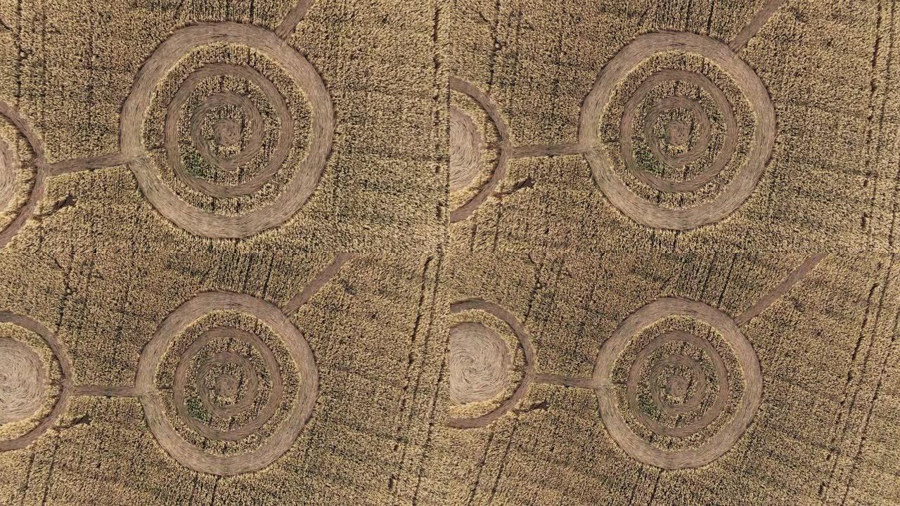 麦田中间神秘的几何符号。不明飞行物在野外留下了脚印。空中4k镜头
