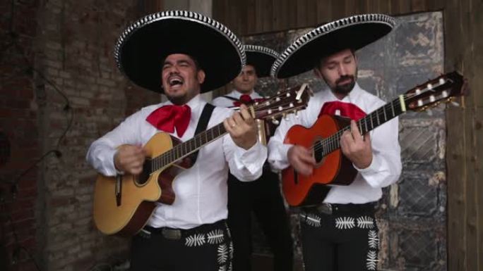 墨西哥音乐家墨西哥流浪乐队