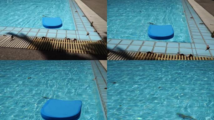 慢动作蓝色，游泳板或踢脚板在白天漂浮在游泳池的水面上