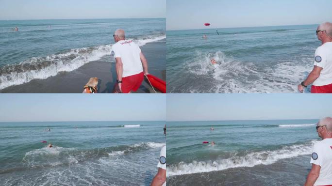 海上训练中的救援犬。意大利baywatcher投掷安全物体，狗在海上奔跑以将其恢复