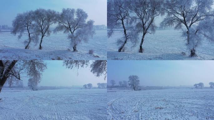 中国吉林雾凇岛雪景