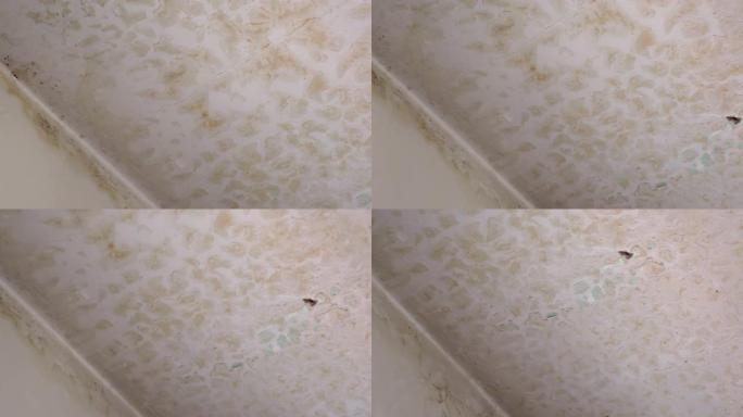 上层邻居公寓的漏水破坏了公寓的石膏天花板，破坏了表面并造成了许多肮脏的斑点。天花板上的湿模形成过程，