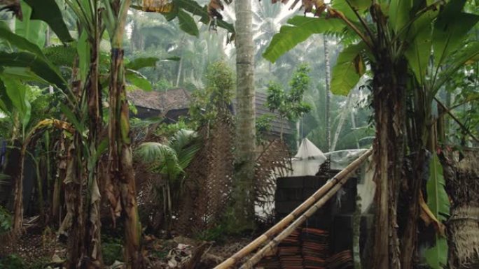 位于热带森林丛林和永久农业农场中部的家