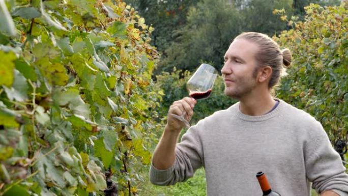 年轻人在秋天的葡萄园里闻到红酒的香气