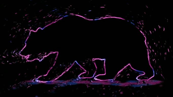 熊的美丽轮廓的4k视频动画，具有霓虹灯照明和分散效果。动物轮廓与霓虹灯效果隔离在黑色背景。