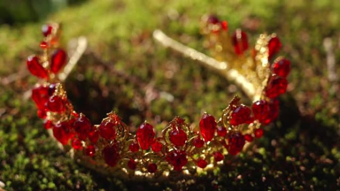 森林苔藓上有红色珠宝的美丽头发王冠