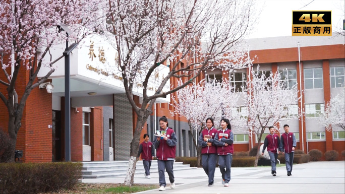 学生在校园走路 春天开花