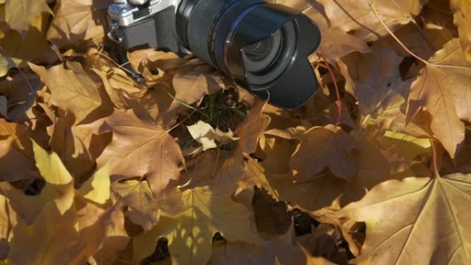 秋天的相机在地上。