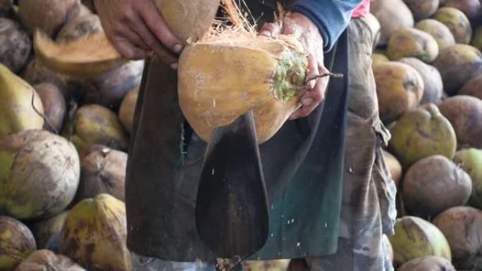 工人用旧锋利的刀打开椰子壳，剥开椰子壳。