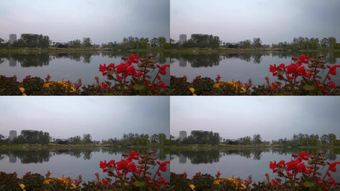 成都市中心公园湖花海岸线全景4k中国