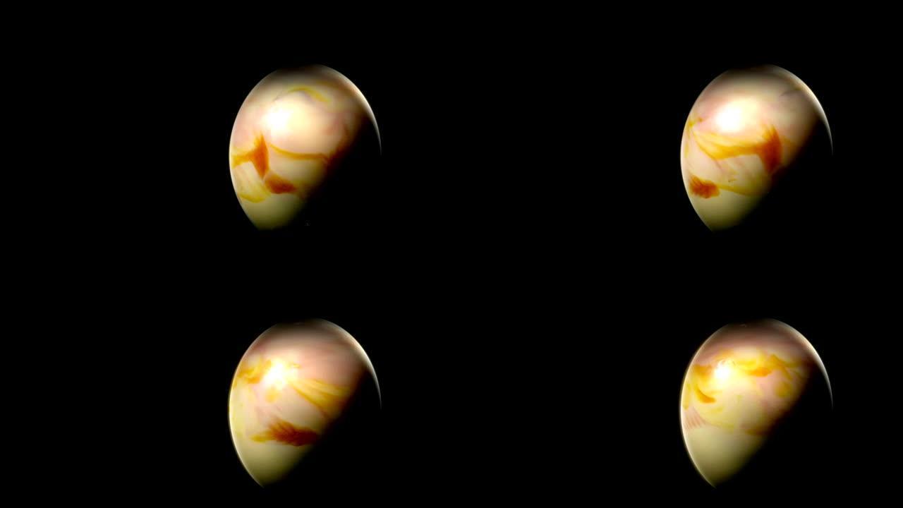 木星行星球旋转/流体动力学