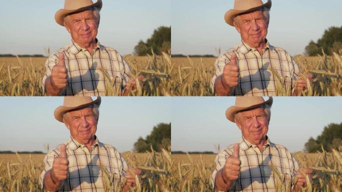 微笑的老人戴着帽子在麦田里竖起大拇指的肖像