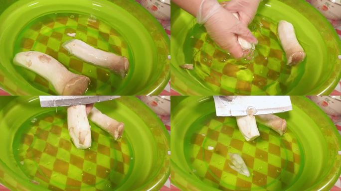 清洗处理杏鲍菇鸡腿菇蘑菇食用菌 (2)