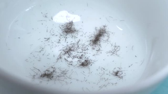 黑色的小剃毛和刷毛散布在白色珐琅或陶瓷表面上，靠近。理发店理发。术前在宠物身上剃刮手术区