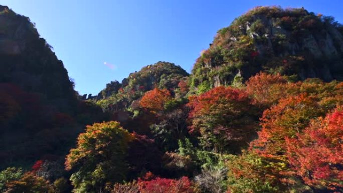 新亚坝峡谷的秋叶。日本大分县Yabakei。