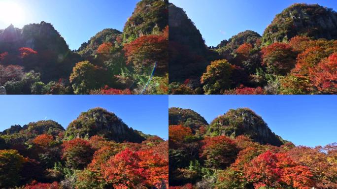 新亚坝峡谷的秋叶。日本大分县Yabakei。