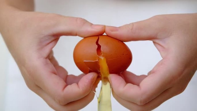 女性的手拿着一个破裂的鸡蛋。打碎鸡蛋。白色背景。慢动作。