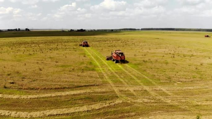在电线的背景下，四名收割者从农田里收割成熟的燕麦，后面是农业机器掉落的压碎的稻草