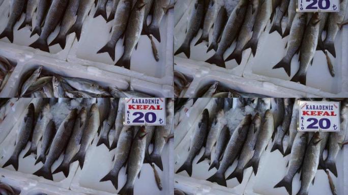 冰鲜鱼，在渔夫柜台出售