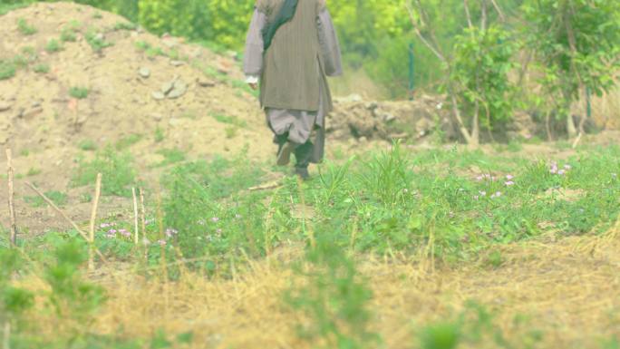 一个戴着草帽跪在田野里的女人 有树木和灌木的花园图像 一个人在田野里捡草