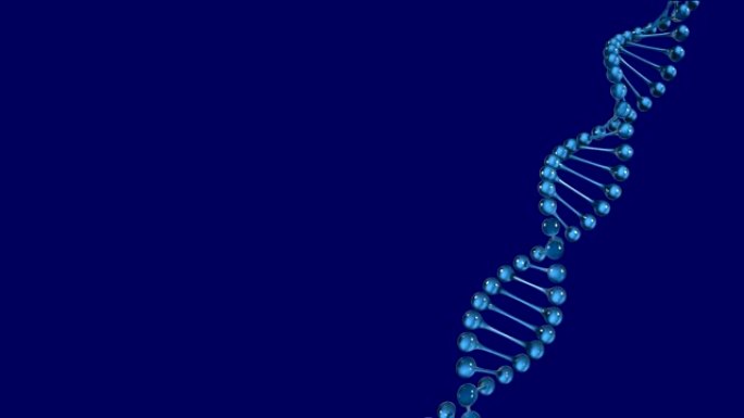 DNA菌株在蓝色背景上旋转的动画
