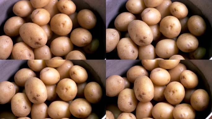 平底锅里的土豆土豆丰收特写实拍