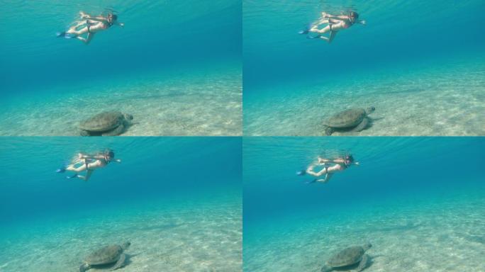 海。一个戴着水下面具的女孩和一只大乌龟在海里游泳。埃及。红海。