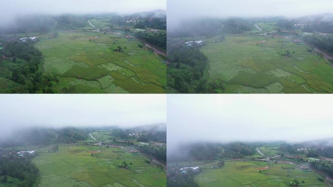 4k实时鸟瞰图云雾拍摄美丽的绿色稻田和山脉