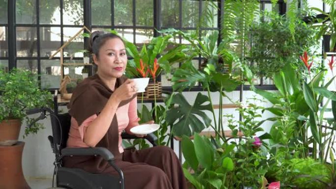 微笑的残疾老年妇女，穿着便服，坐在轮椅上，感受积极的情感和幸福，享受，看着温室的室内花园，喝咖啡休息