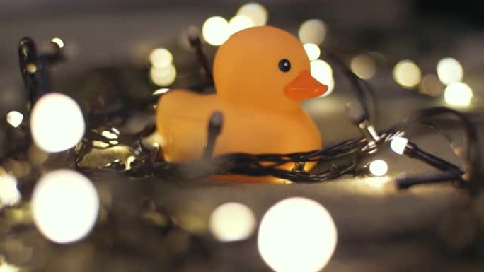 玩具上圣诞节花环背景下橡皮鸭的特写镜头。家居装饰