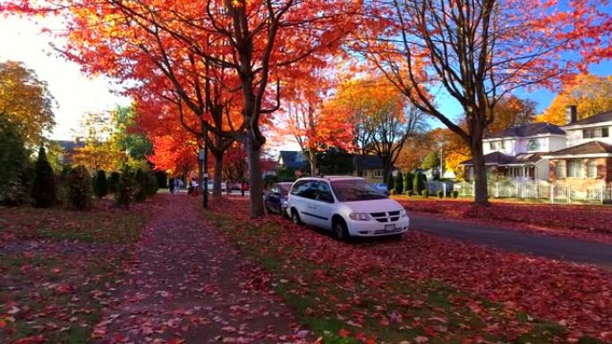 温哥华的秋天 | 加拿大不列颠哥伦比亚省