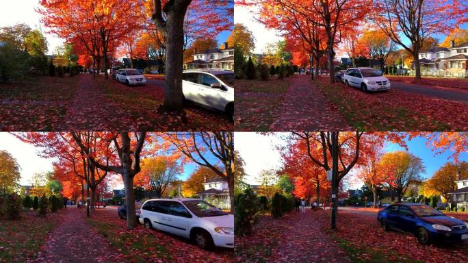 温哥华的秋天 | 加拿大不列颠哥伦比亚省