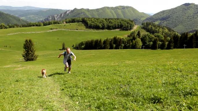 比格犬在晴朗的夏日与他的主人一起在绿色草地上奔跑