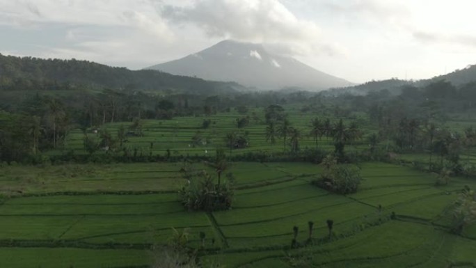 印度尼西亚巴厘岛山区附近绿谷的鸟瞰图。在热带乡村的稻田，棕榈树和房屋上方与无人机一起飞行。