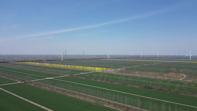 4K航拍绿色麦田和大风车